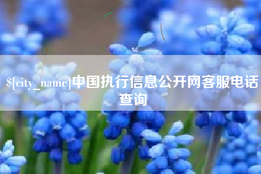 诸暨中国执行信息公开网客服电话查询
