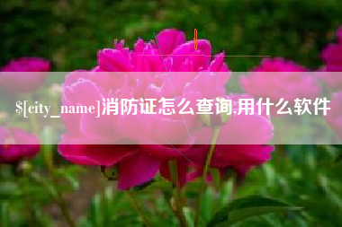 诸暨消防证怎么查询,用什么软件