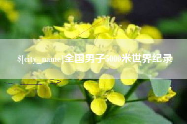 诸暨全国男子5000米世界纪录