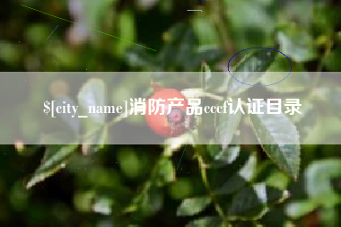 诸暨消防产品cccf认证目录