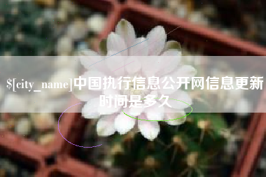诸暨中国执行信息公开网信息更新时间是多久