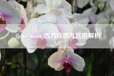 诸暨西方命数九宫格解析