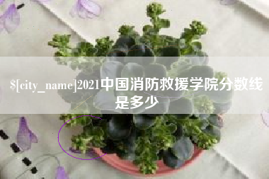 诸暨2021中国消防救援学院分数线是多少