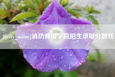 诸暨消防救援学院招生录取分数线