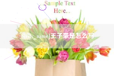 诸暨王子豪是怎么写