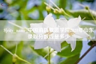 诸暨中国消防救援学院2021年山东录取分数线是多少