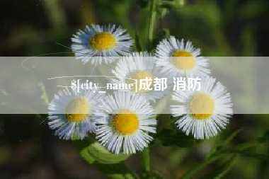 诸暨成都 消防