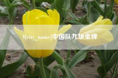 诸暨中国队九块金牌