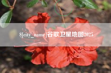 诸暨谷歌卫星地图2025