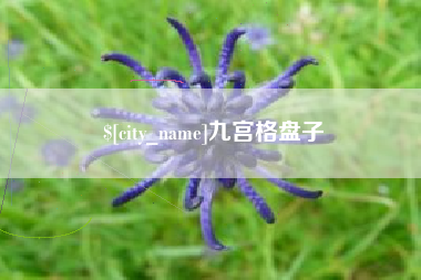 诸暨九宫格盘子