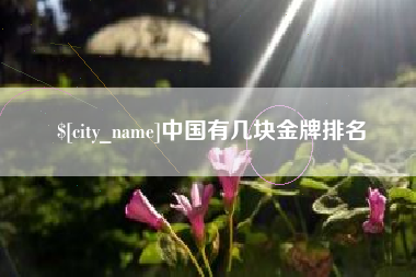 诸暨中国有几块金牌排名