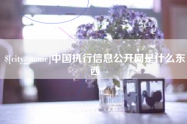 诸暨中国执行信息公开网是什么东西