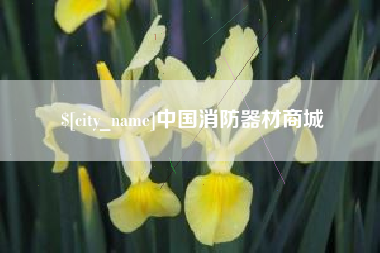 诸暨中国消防器材商城