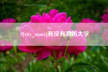 诸暨有没有消防大学