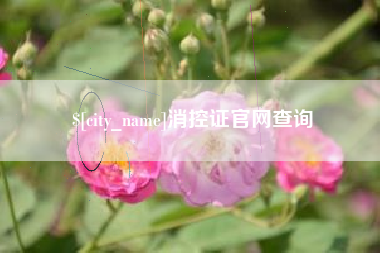 诸暨消控证官网查询