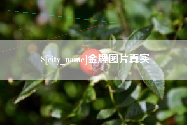诸暨金牌图片真实