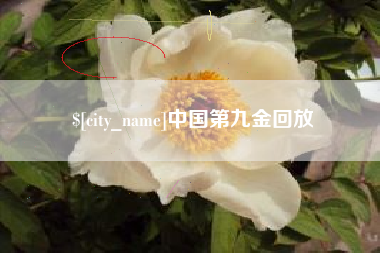 诸暨中国第九金回放