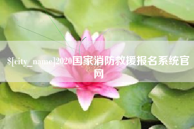 诸暨2020国家消防救援报名系统官网
