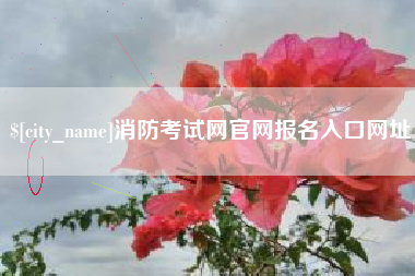 诸暨消防考试网官网报名入口网址