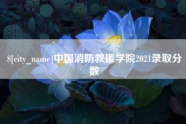 诸暨中国消防救援学院2021录取分数
