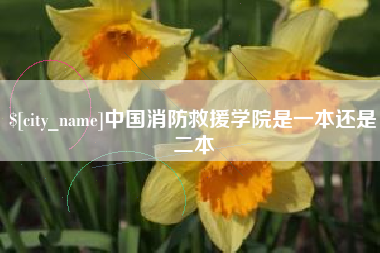 诸暨中国消防救援学院是一本还是二本