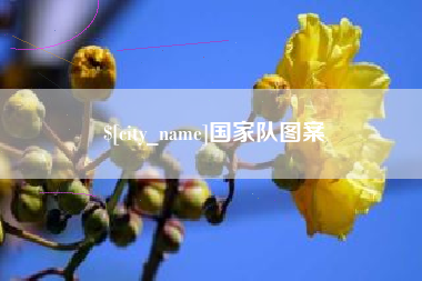 诸暨国家队图案