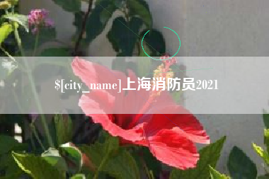 诸暨上海消防员2021