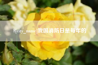 诸暨我国消防日是每年的