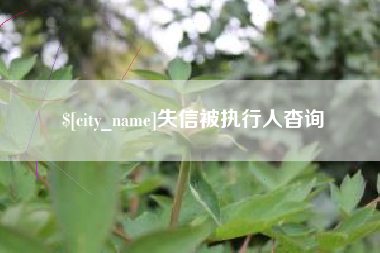 诸暨失信被执行人杳询