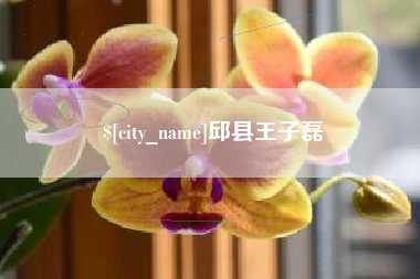 诸暨邱县王子磊