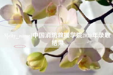 诸暨中国消防救援学院2020年录取结果