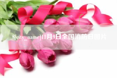 诸暨11月9日全国消防日图片
