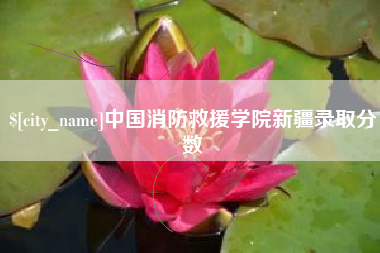诸暨中国消防救援学院新疆录取分数