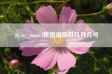 诸暨我国消防日几月几号