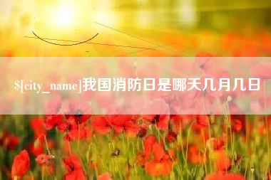 诸暨我国消防日是哪天几月几日