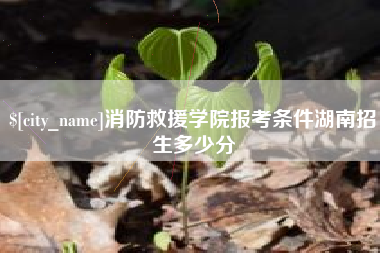 诸暨消防救援学院报考条件湖南招生多少分