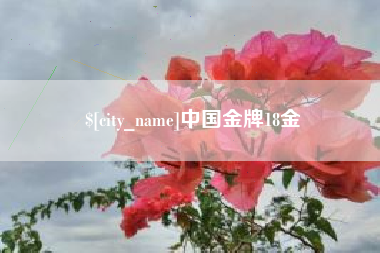 诸暨中国金牌18金