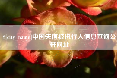 诸暨中国失信被执行人信息查询公开网址