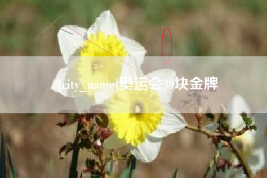 诸暨奥运会39块金牌