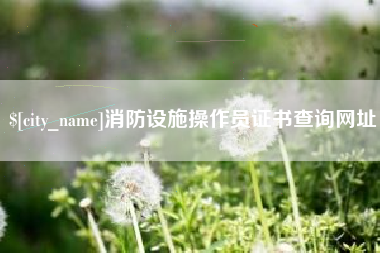 诸暨消防设施操作员证书查询网址