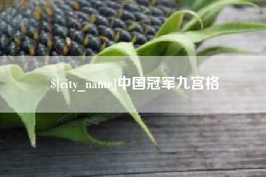 诸暨中国冠军九宫格