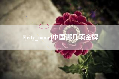 诸暨中国哪几项金牌