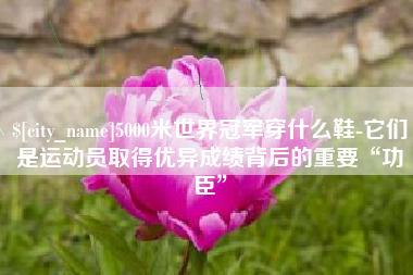 诸暨5000米世界冠军穿什么鞋-它们是运动员取得优异成绩背后的重要“功臣”
