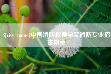 诸暨中国消防救援学院消防专业招生简章