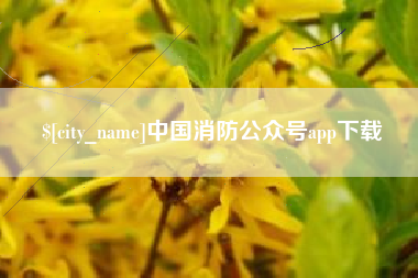 诸暨中国消防公众号app下载