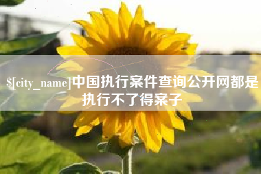 诸暨中国执行案件查询公开网都是执行不了得案子