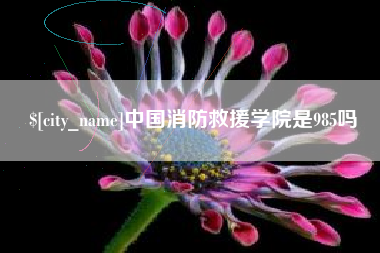 诸暨中国消防救援学院是985吗
