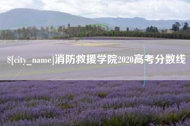 诸暨消防救援学院2020高考分数线
