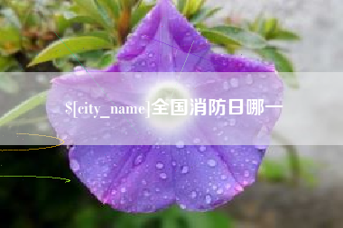 诸暨全国消防日哪一