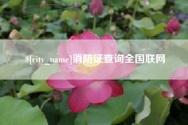 诸暨消防证查询全国联网